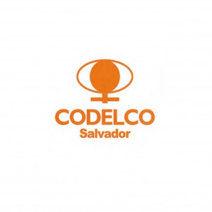 Codelco DSAL
